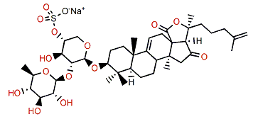 Cercodemasoide E